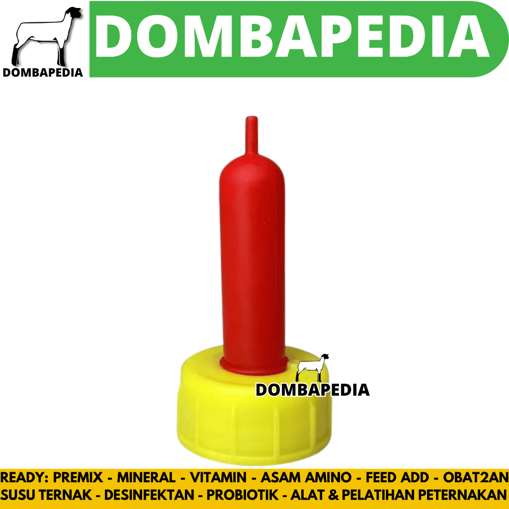 DOT KAMBING MERAH OREN 6.2 - DOT ANAK KAMBING - DOT CEMPE KAMBING DOMBA