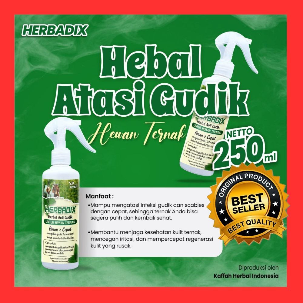 UNTUK TERNAK  Obat Gudik Ternak Sapi Paling Ampuh, Obat Gudik Ternak Sapi Qurban