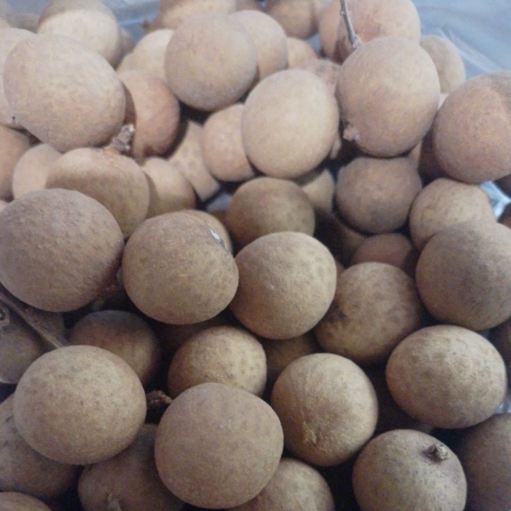 PROMO KELENGKENG BANGKOK 1 KG