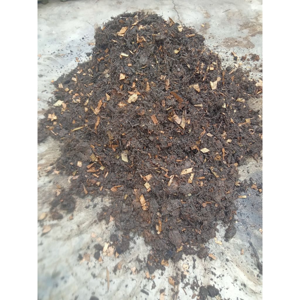 Tanah Humus Bambu Premium