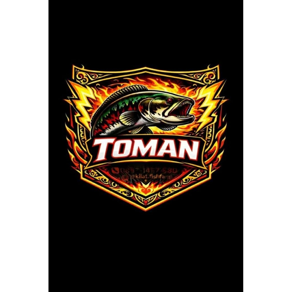 Toman Size ±18-20Cm