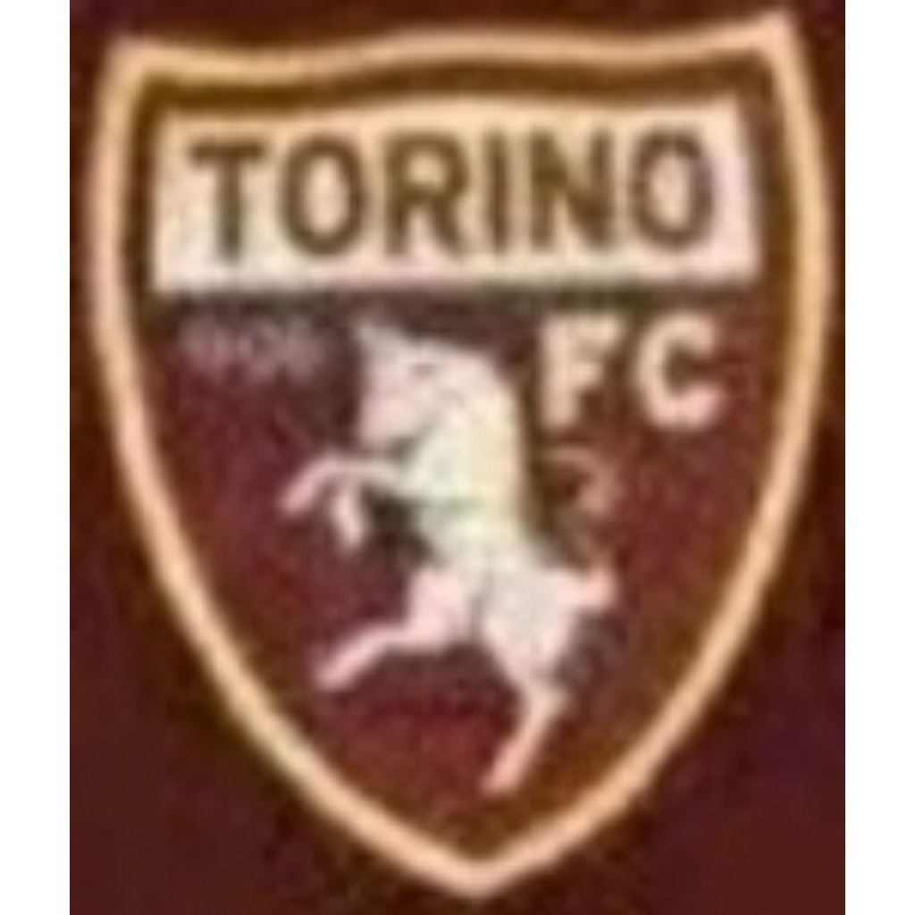 JERSEY TORINO (BARU)