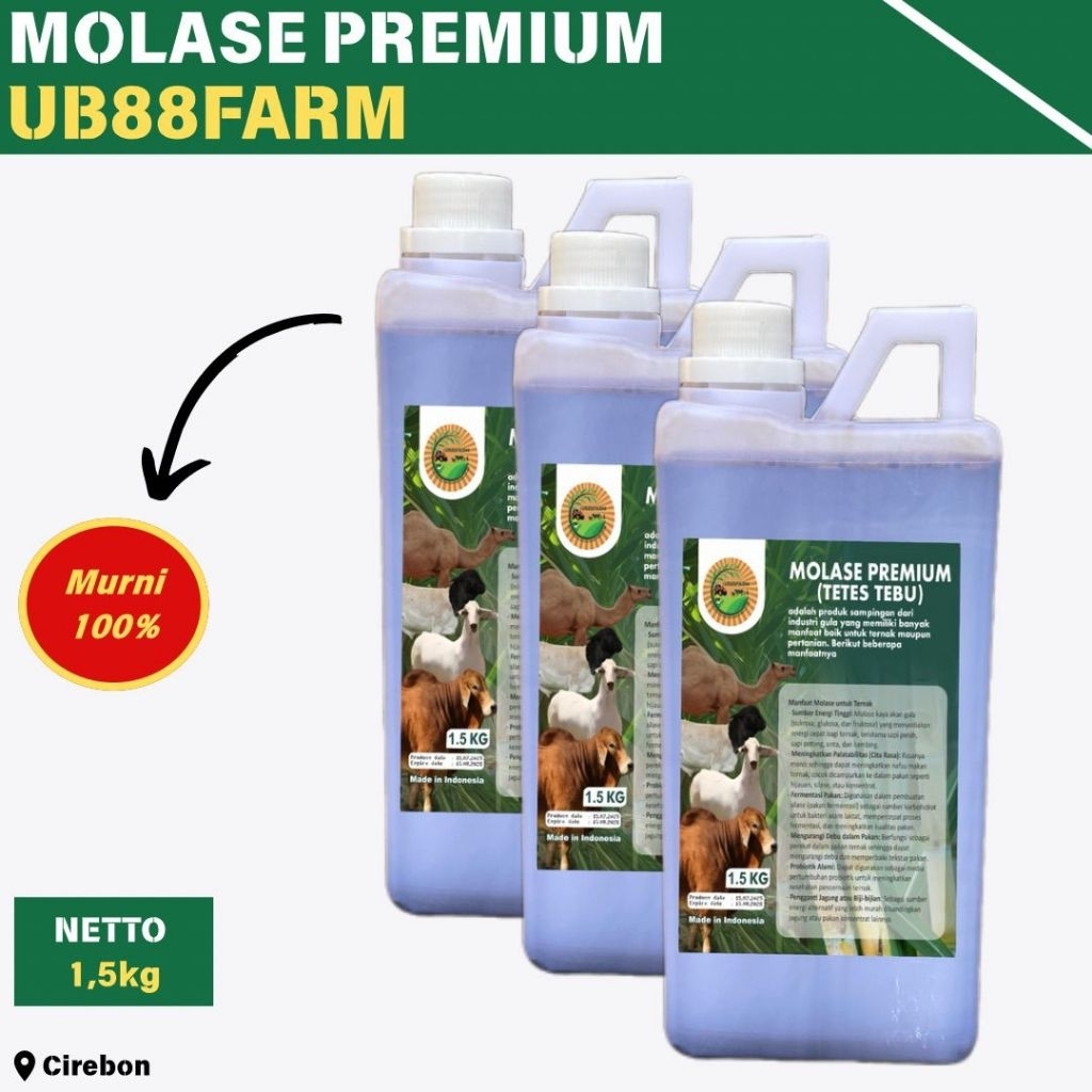 MOLASES TETES TEBU 1,5KG