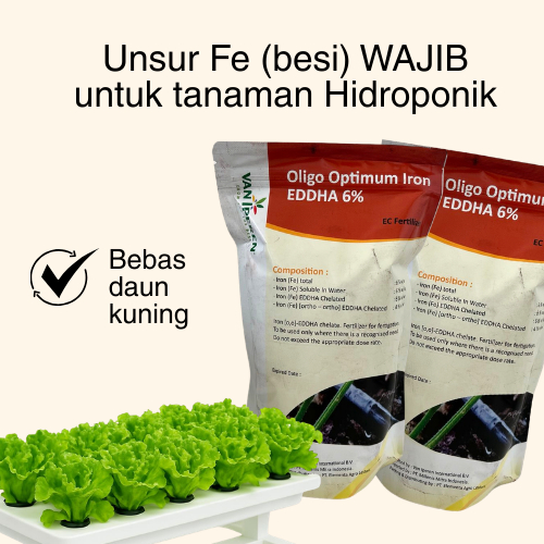 Oligo Optimum Fe EDDHA 6% ortho 4.0 untuk Hidroponik 1 kg