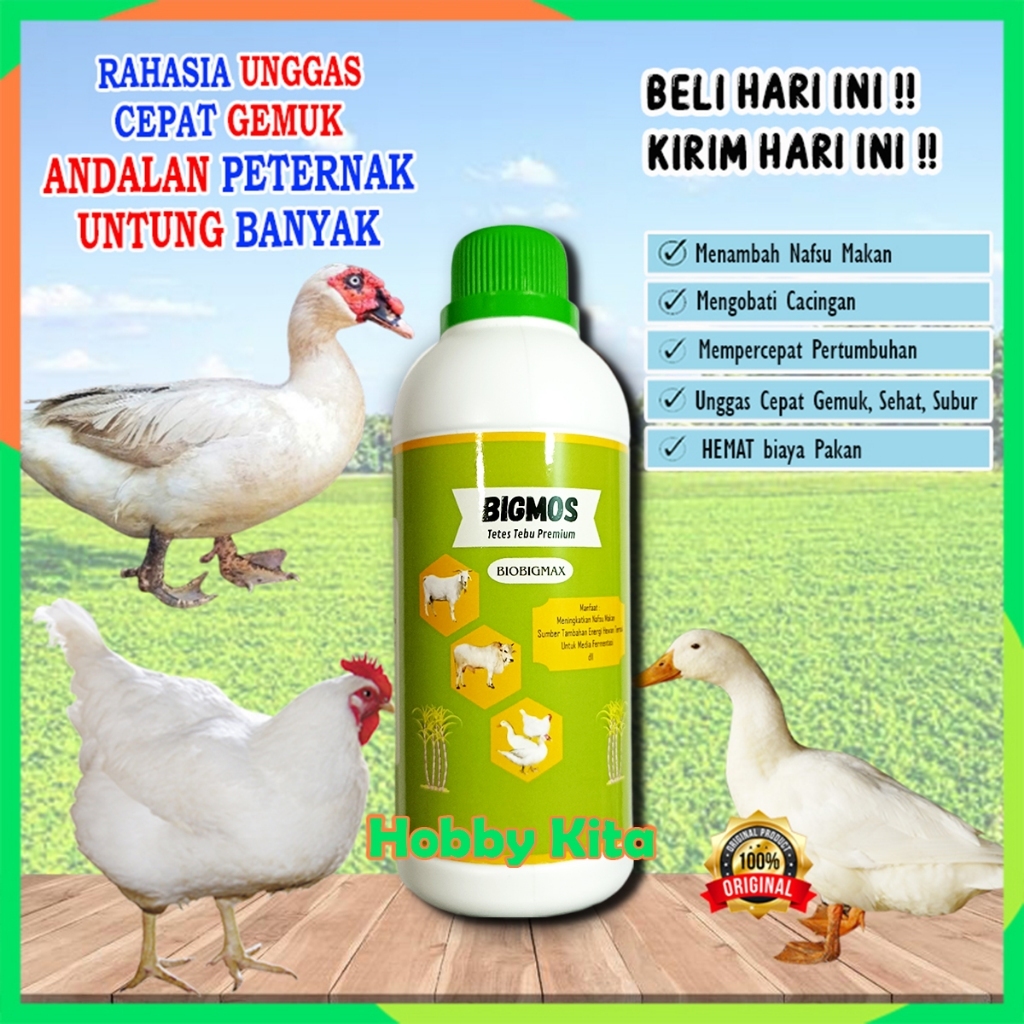 Penggemuk Ternak Entok, Bebek, Itik, Ayam BIGMOS Molase Tetes Tebu Penambah Nafsu Makan Ternak Unggs