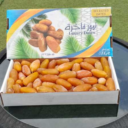 Kurma Ruthob libya 1kg | Kurma segar setengah matang