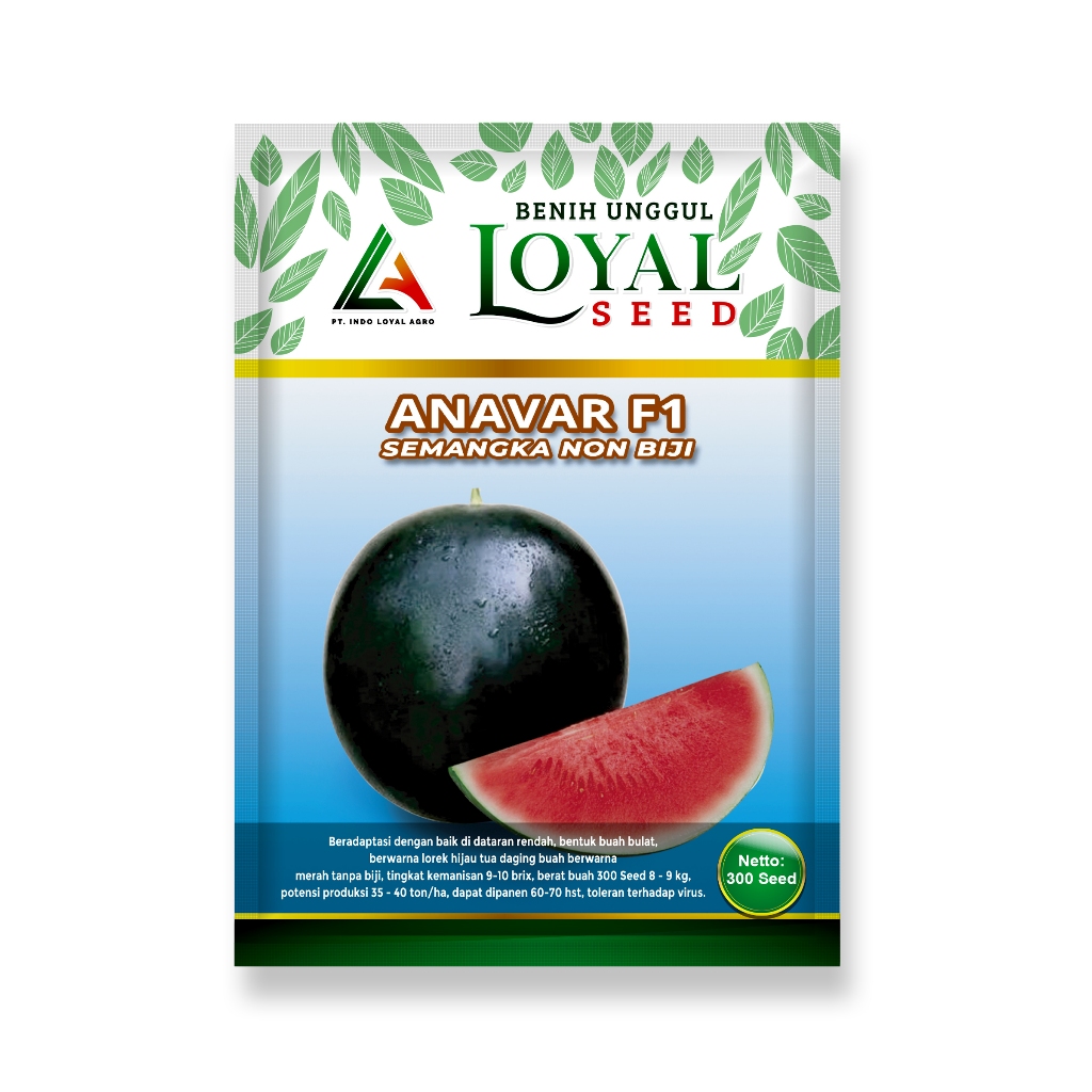 BENIH SEMANGKA BULAT NON BIJI ANAVAR F1 KEMASAN 300 SEED CAP LOYAL SEED