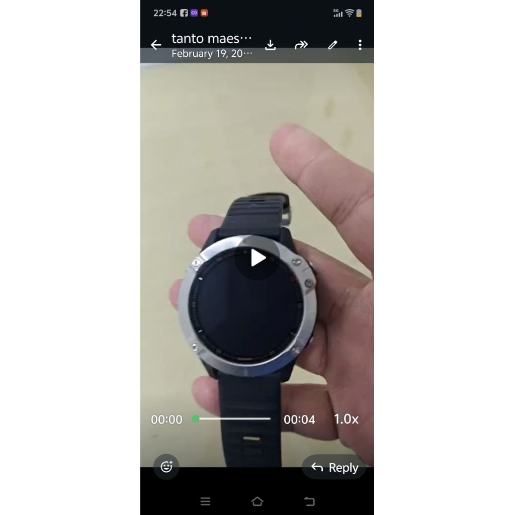 smartwatch garmin fenix 6 silver normal