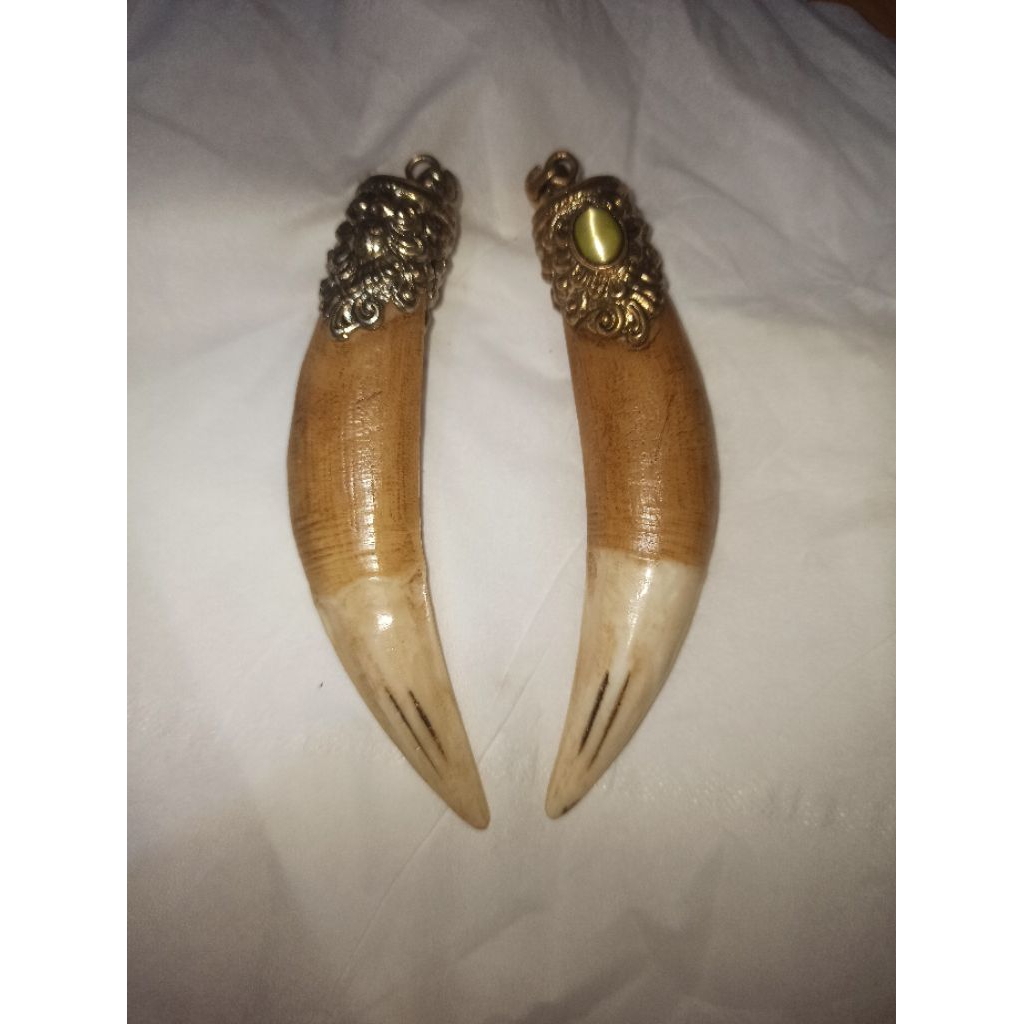 sepasang taring hm mati ngurak