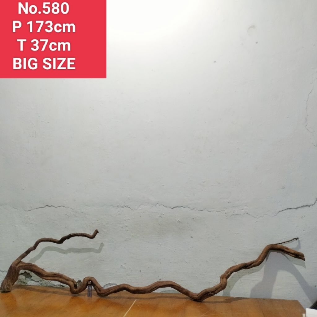 akar aquascape aquarium santigi laut bonggol akar santigi 580