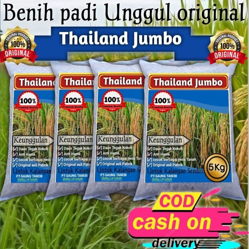 Benih padi Thailand jumbo 5kg berkualitas original