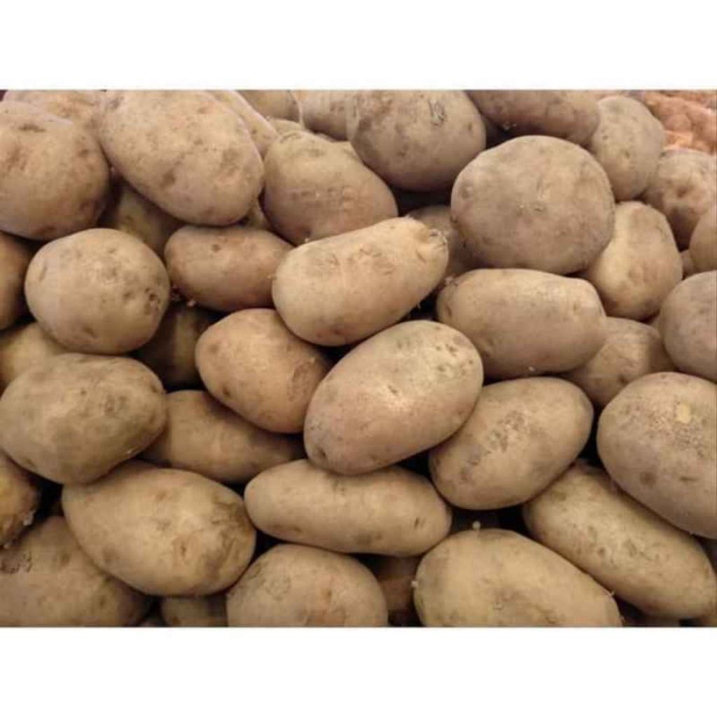 Kentang Lokal Bandung AB 5-6 BIJI 1.000gr Segar Setiap Hari, Berkualitas Tinggi, Cocok untuk Berbaga