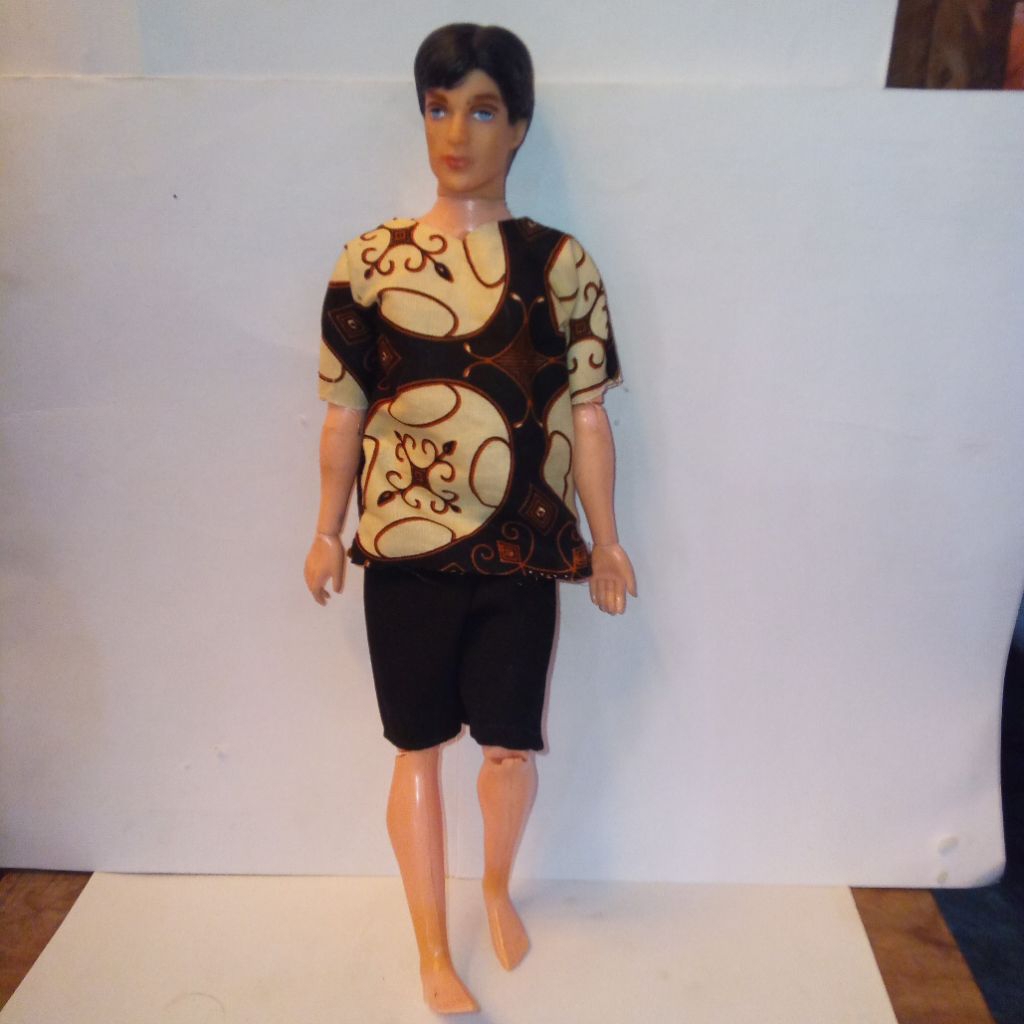 BONEKA BARBIE BERBI KEN china