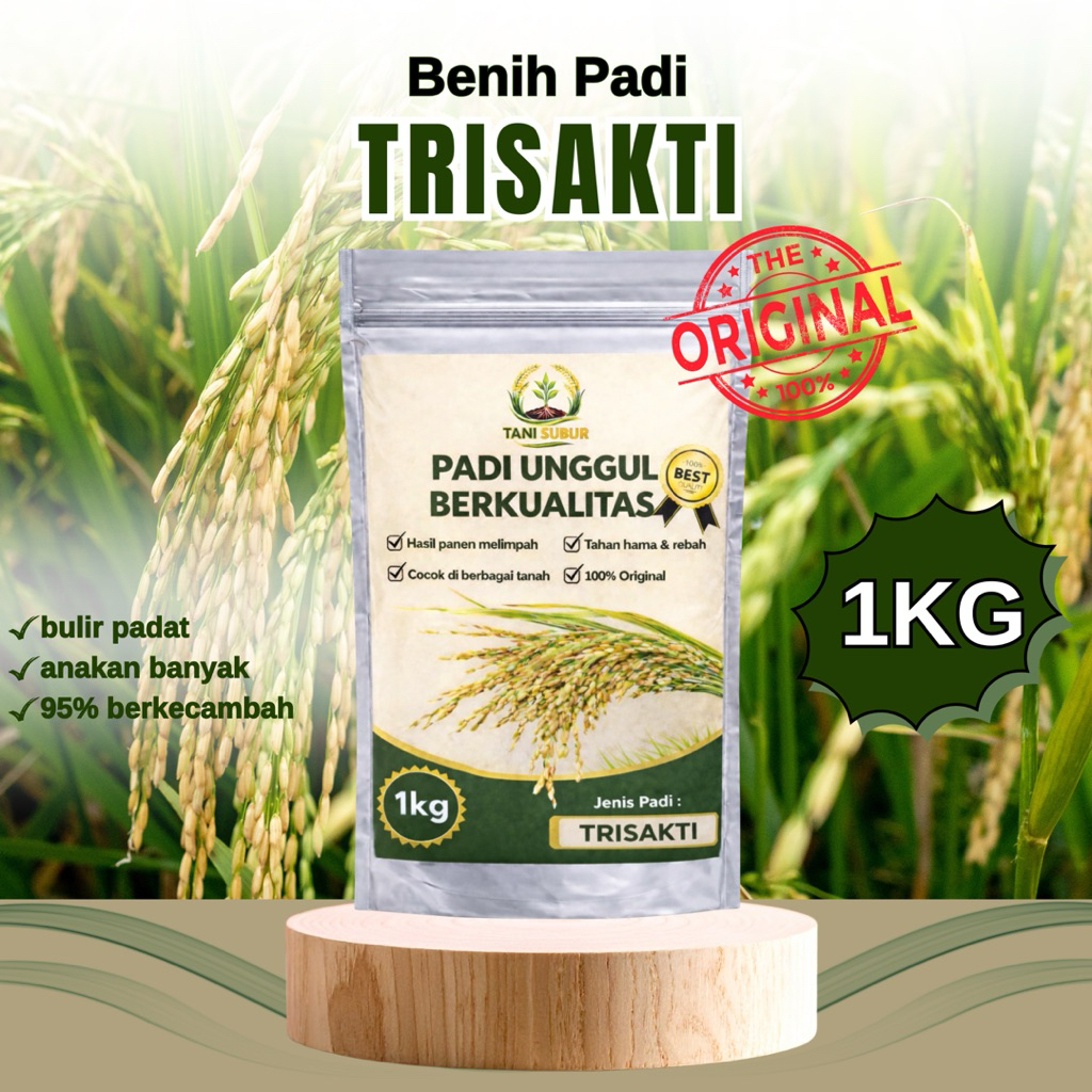 Benih Padi Trisakti Genjah Benih Padi Unggul kemasan 1kg