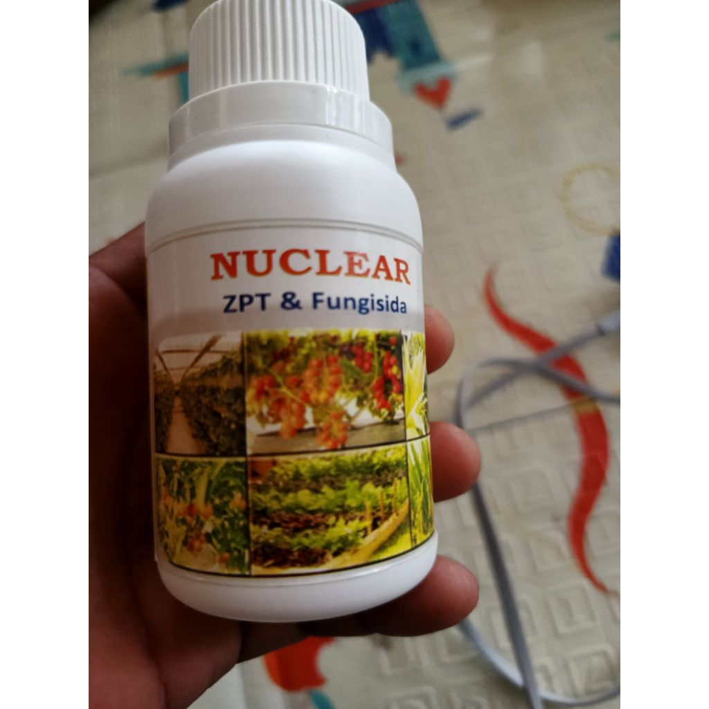 FUNGISIDA+ ZPT NUCLEAR isi 100ml AMPUH DI SEMUA TANAMAN PADA SAAT VEGETATIF