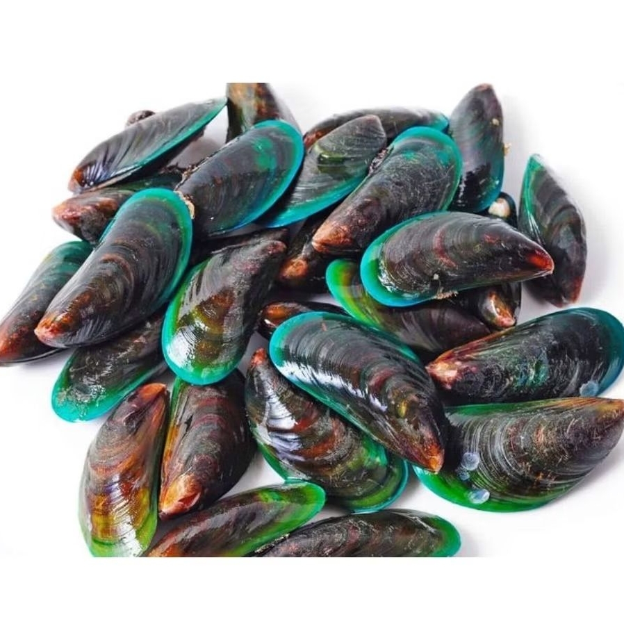 KERANG HIJAU 1KG