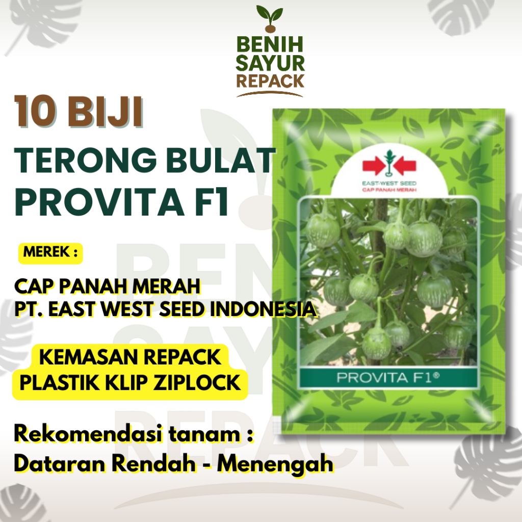 10 Biji Benih Terong Provita F1 - Terong Lalap Bulat Hijau - CAP PANAH MERAH TERONG PROVITA F1 [BENI