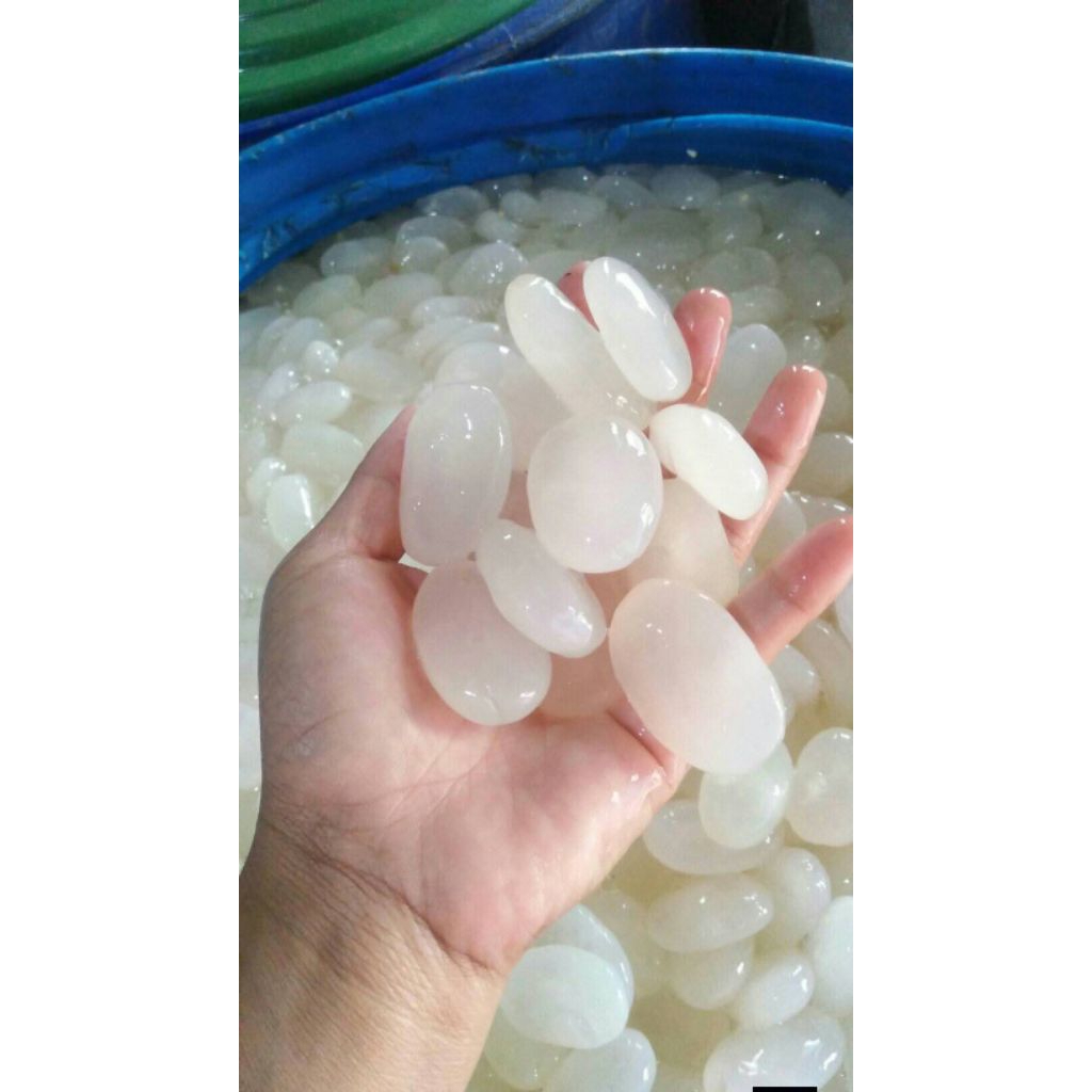 Kolang Kaling segar 1kg, Kolang kaling super muda 1kg