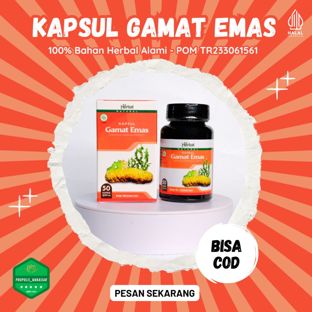 Kapsul Gamat Emas - Ekstrak Teripang Emas 100% Asli Isi 50 Kapsul