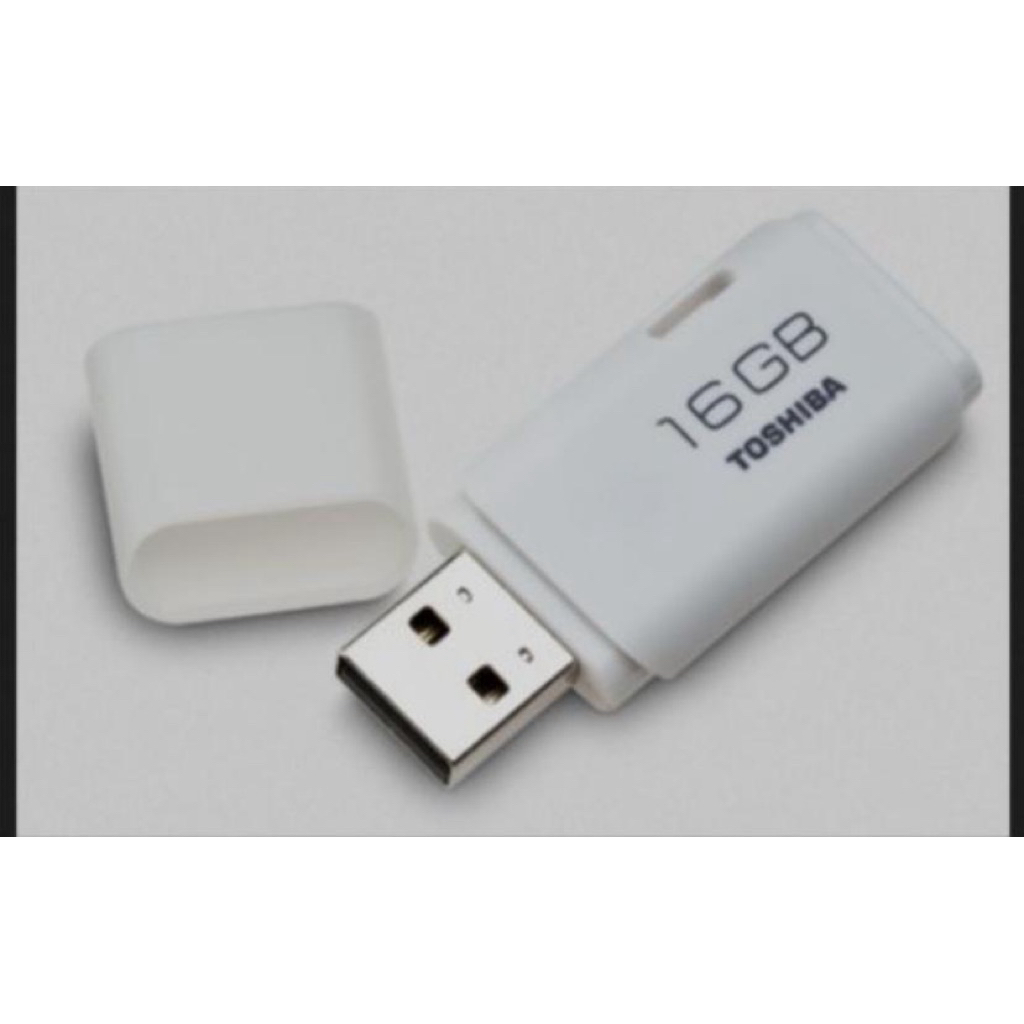 flasdisk ps 4 hen 9.00