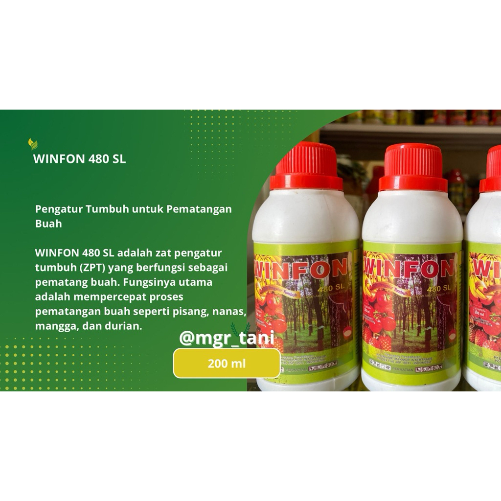 WINFON 480 SL | Pengatur tumbuh pematangan buah | mempercepat tumbuh buah