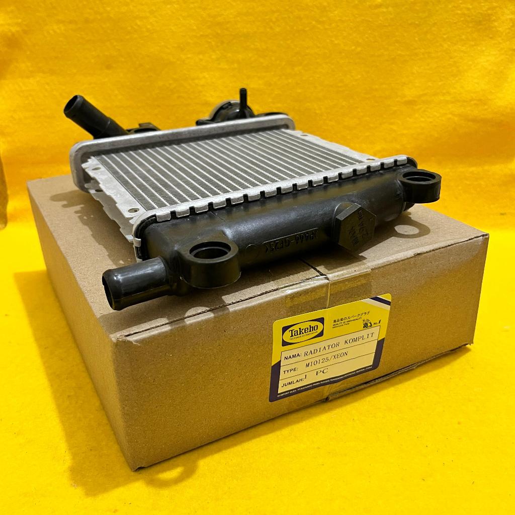 RADIATOR ASSY/KOMPLIT XEON/MIO 125 1PN-E2460-00 (TAKEHO)