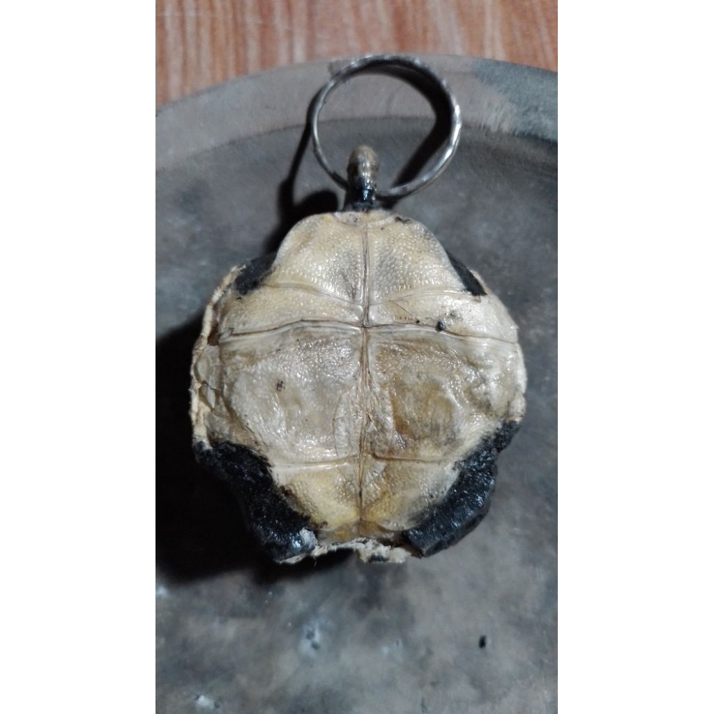 gantungan kunci kurakura