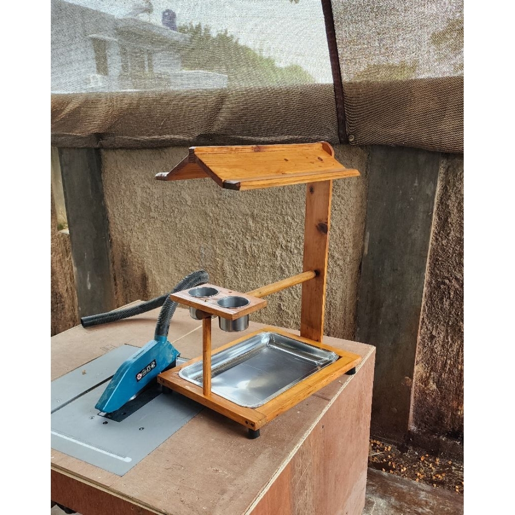 Tangkringan tenggeran burung nuri sunconure tangkringan parrot