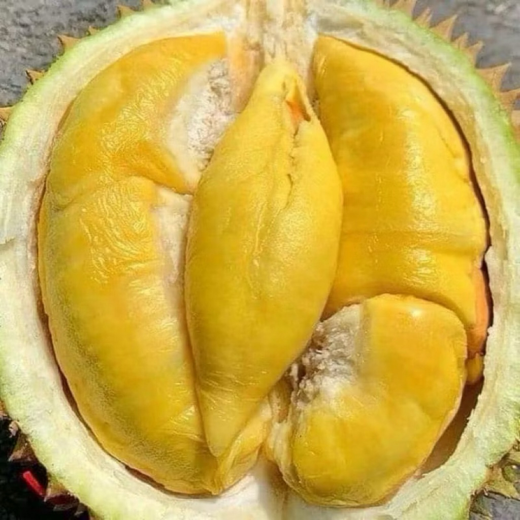 Durian montong | Durian montong kupas 1000 gram | Durian montong manis legit