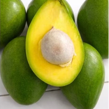 Alpukat Aligator Super Besar Isi 1-2/ kg