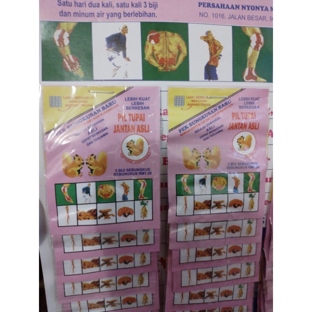 pil tupai jantan asli