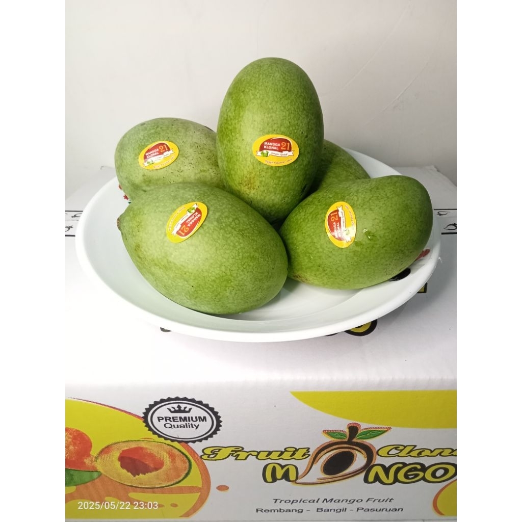 Mangga Manalagi Mangga Muda 1kg pas untuk rujak manisan Termurah di Shopee