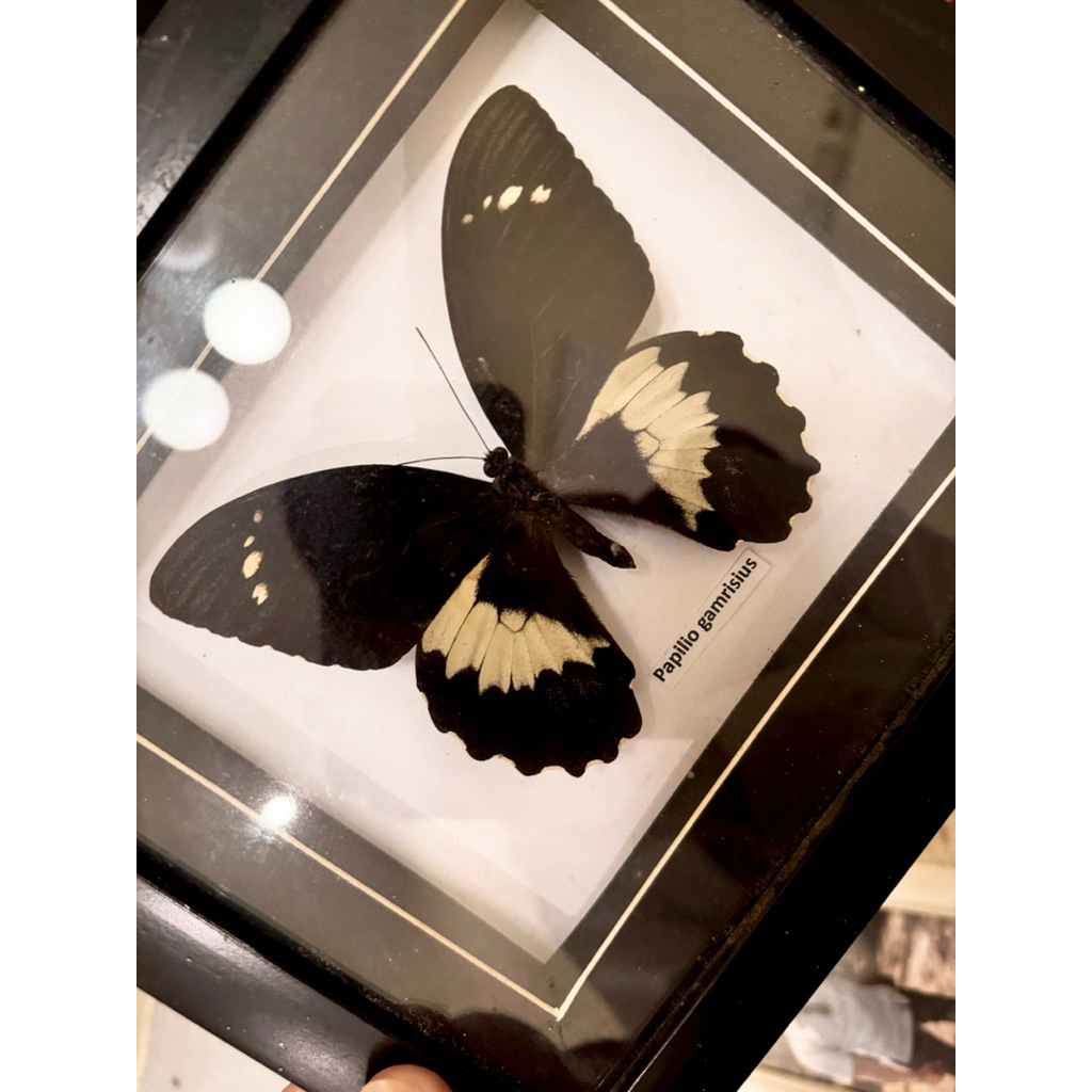 Bingkai Foto Minimalis Estetik – Frame Foto Meja & Dinding – Anti Pecah