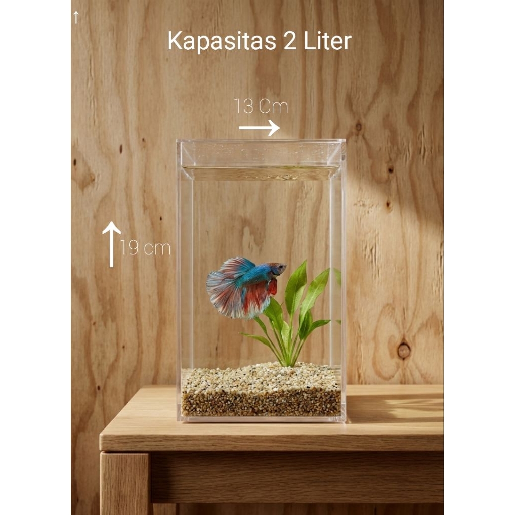 Aquarium Cupang/Soliter Cupang akrilik/Aquarium Akrilik/Aquarium