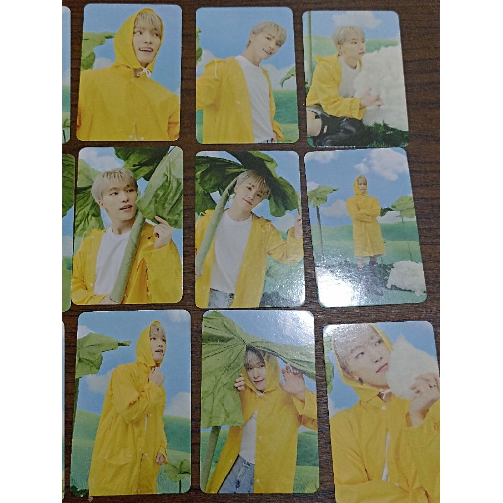 Photocard Booklet Carat Ver Dino Heaven