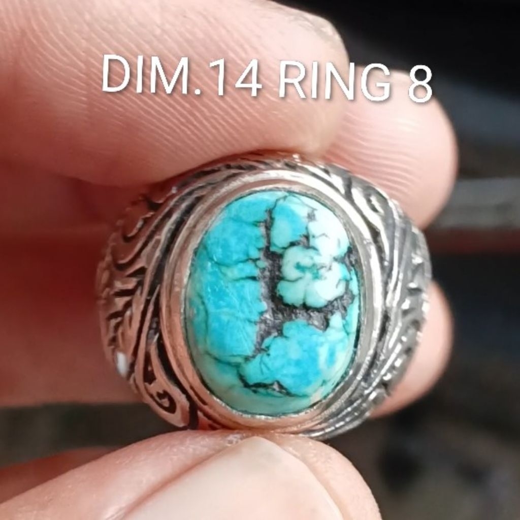 NATURAL PIRUS HUBEI TIBET XINJIANG NGRIKIL