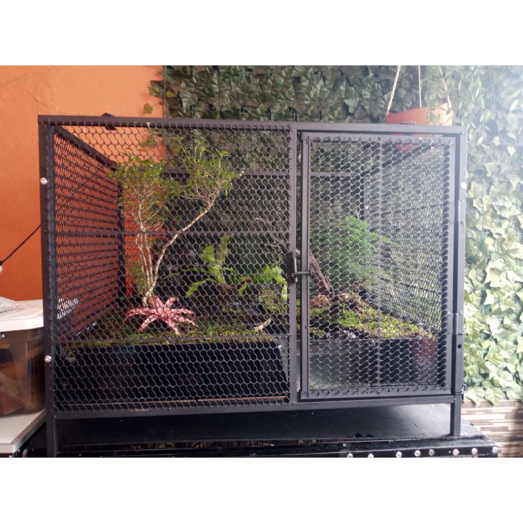 Mini Aviary Kandang kotak