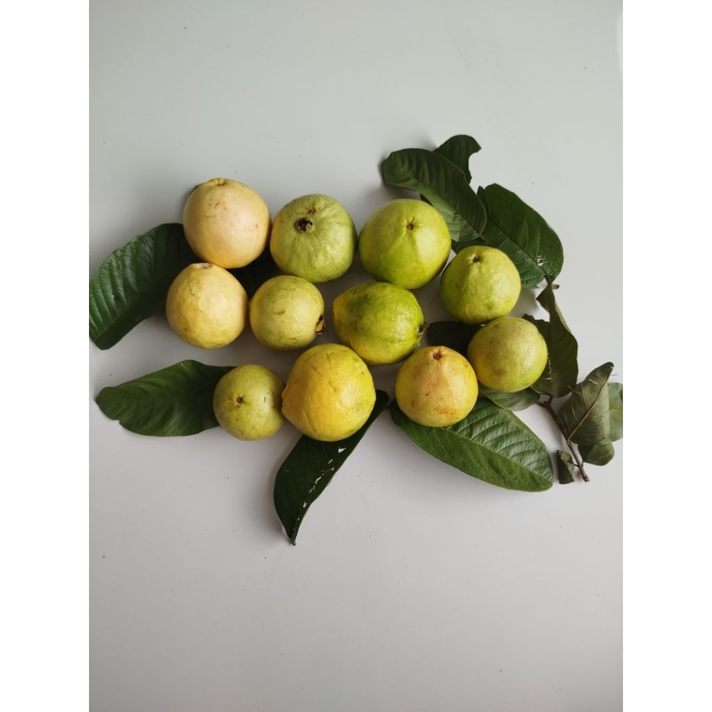 Jambu merah biji kecil 1kg isi 8-12 buah