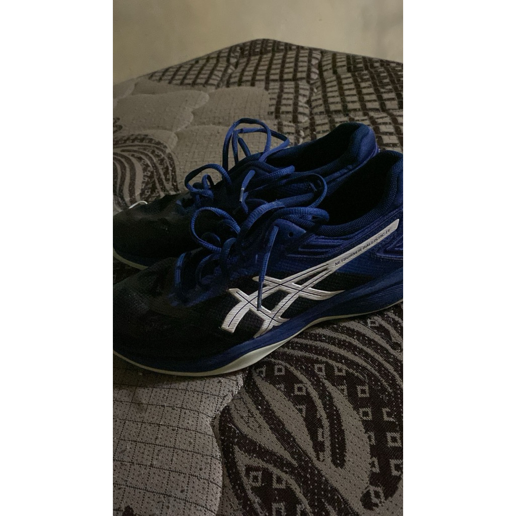 Asic netburner balistic ff