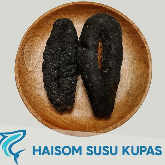 PER PCS TERIPANG SUSU - HOISOM TRIPANG SUSU KUPAS UKURAN 300 GR UP