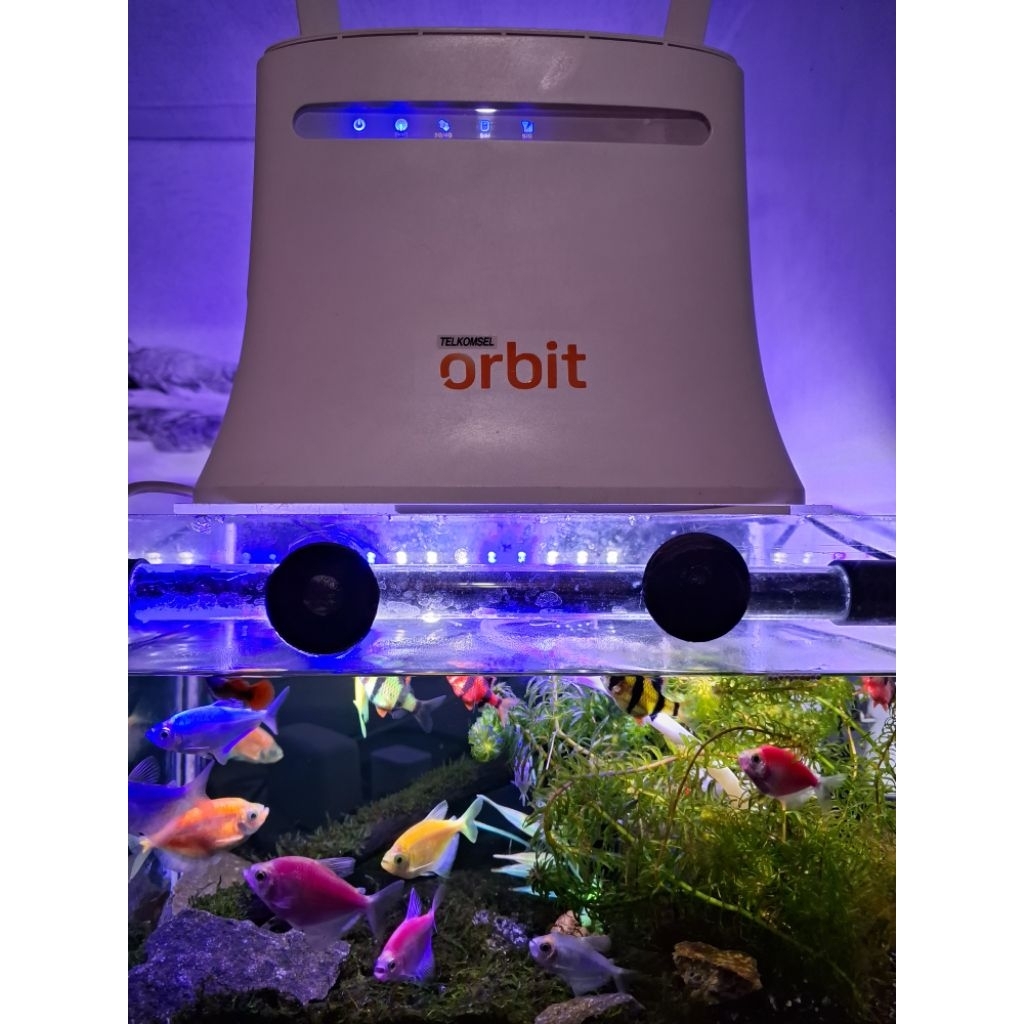 Modem WiFi Orbit Star 3 All Operator (Bekas)