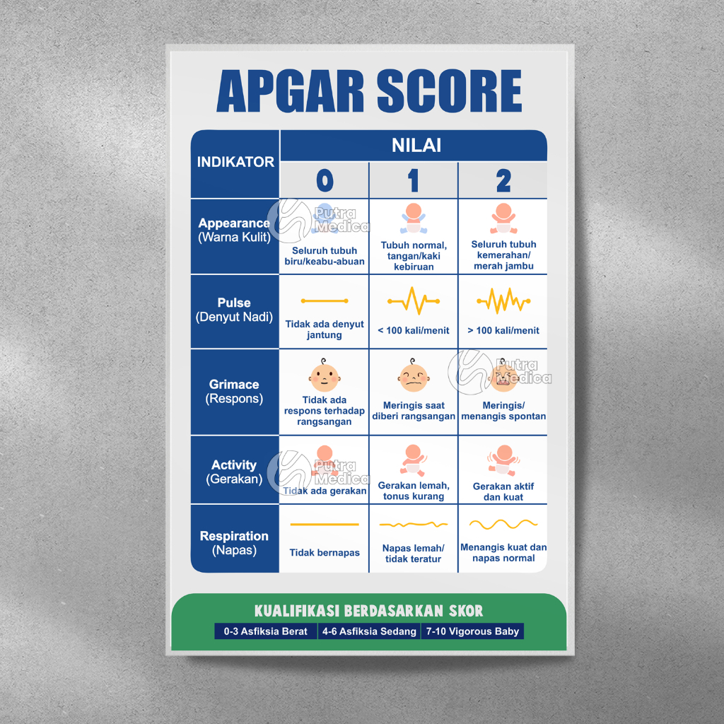 Poster Kesehatan APGAR Score A3+ / Tes Penilaian Bayi Baru Lahir / Skor Asfiksia