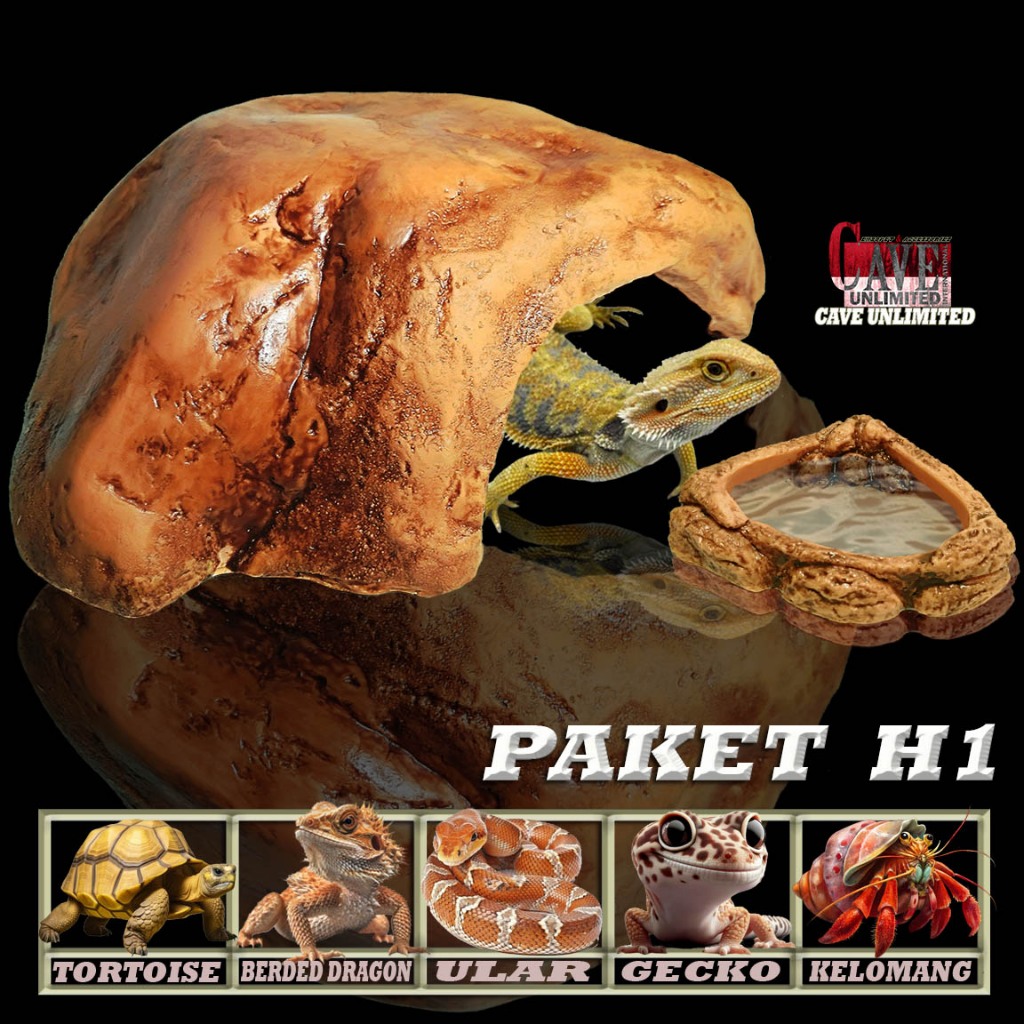 PAKET HC H1 GRADE A GOA SEMBUNYI+TEMPAT MAKAN MINUM SEPAKET HIDING CAVE+WATERDISH REPTILE RUMAH ULAR