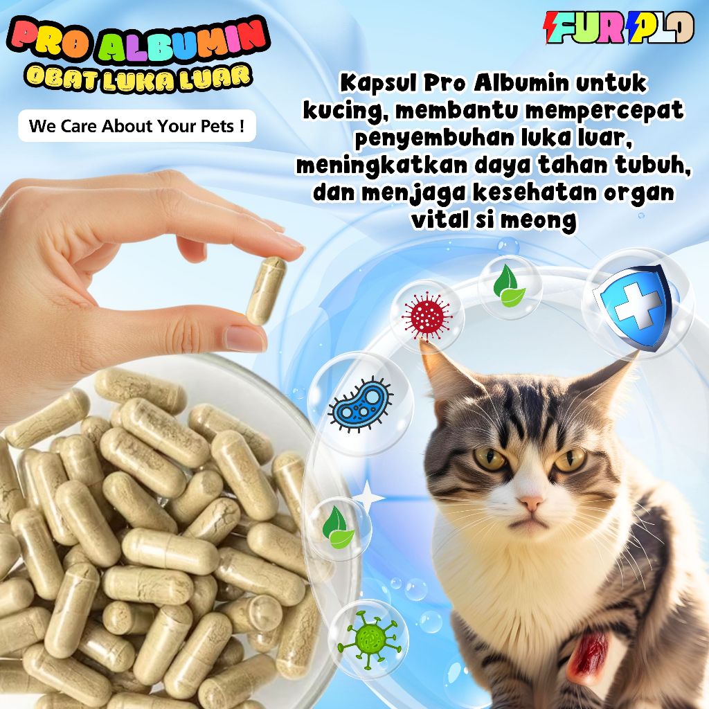 Kapsul Kutuk Ekstrak Albumin Ikan Gabus Untuk Mempercepat Penyembuhan Luka Kucing Cepat Kering FURPL