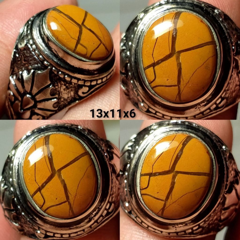 NATURAL BADAR ASEM TAPAK JALAK