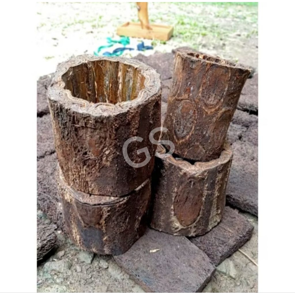 POT ALAMI BATANG PAKIS