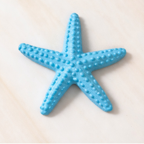 BINTANG LAUT HIASAN AQUARIUM