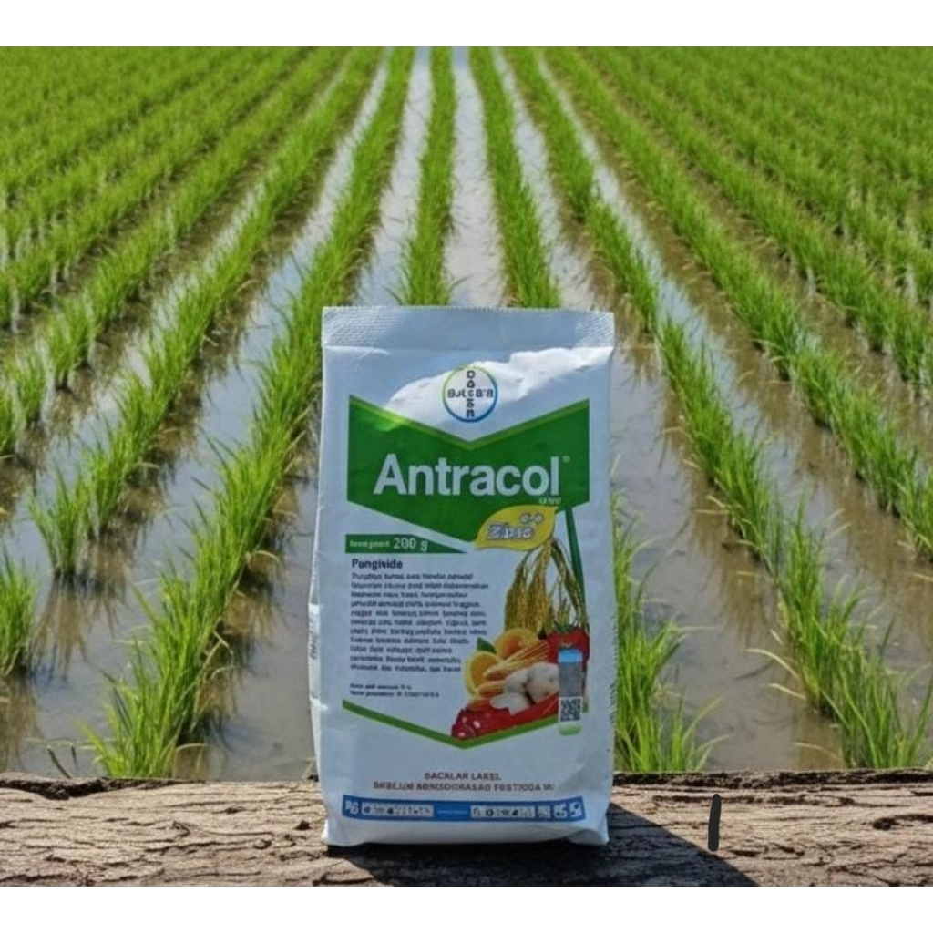 ANTRACOL 250 gram Fungisida