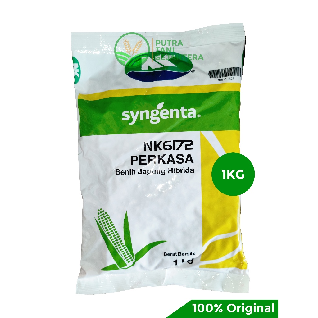 Benih Bibit Jagung Hibrida NK 6172 PERKASA 1KG Syngenta NK6172
