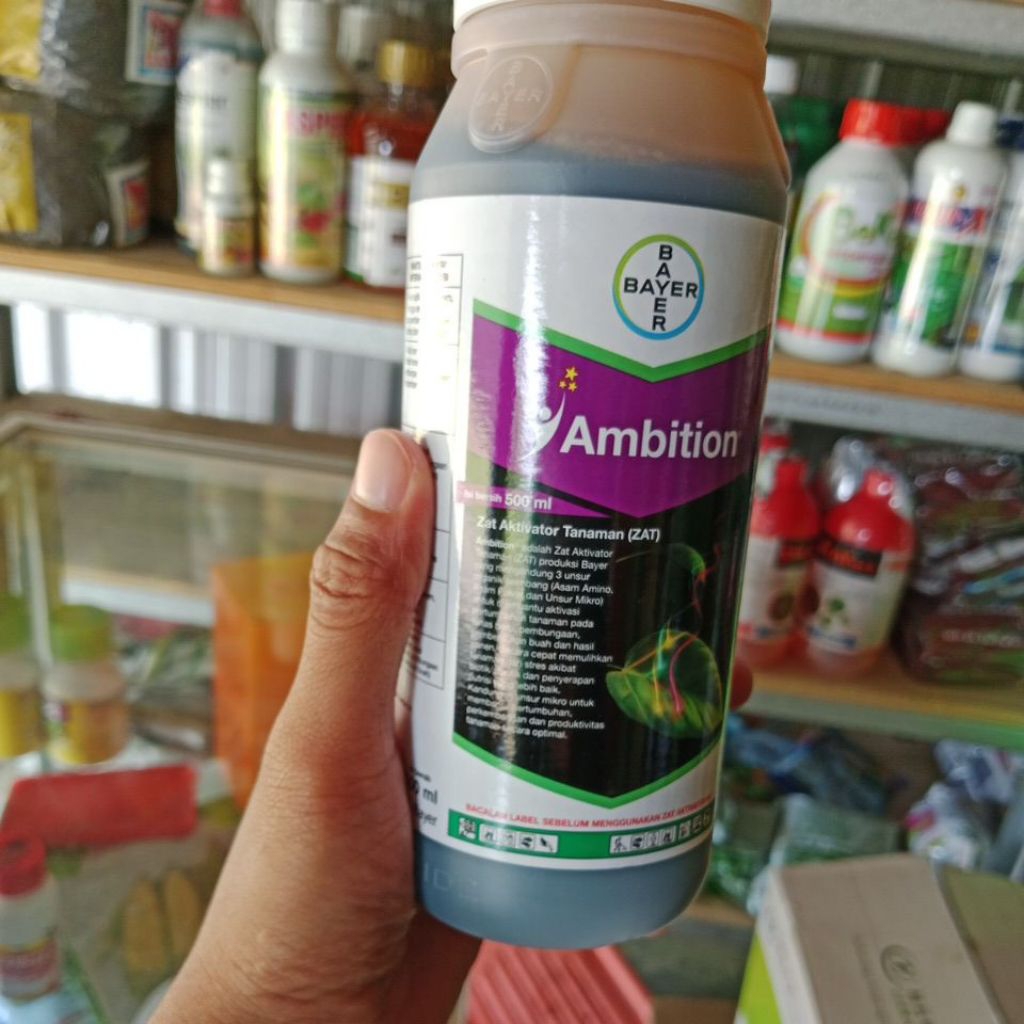 Ambition 500Ml